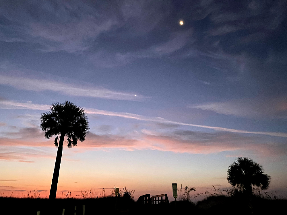 Moffitt Corporation's marketing and digital advertising agency